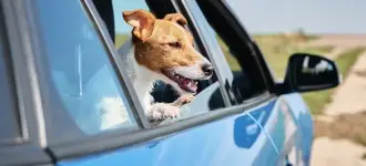 Seguro de carro - Baruffaldi & Beghini Corretora de Seguros